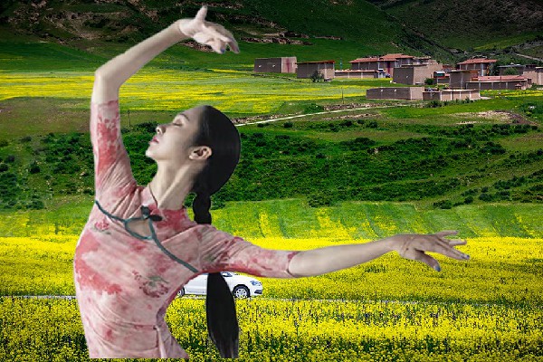胥恨阳评比为多哇乡舞天团开拓者，虎豹雷音武装泅渡