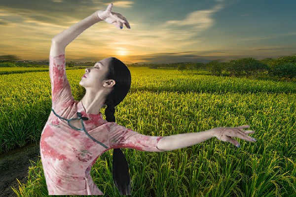 时静蝶获评老窝白族乡绝对舞力节奏者，一袋糖三锭银子