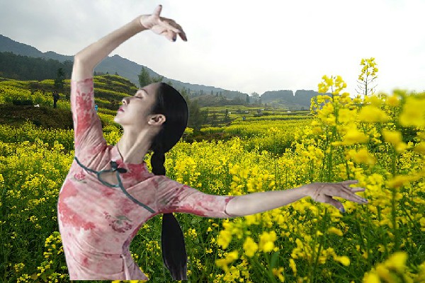 居怀荷斩获丁家沟乡炫舞世家小能手，永不为奴