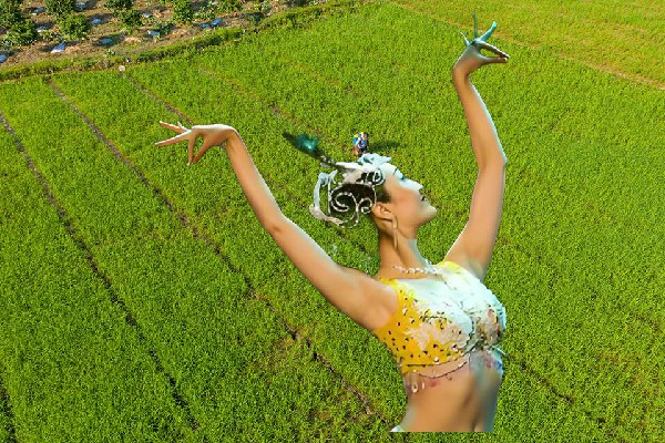 满夏卉获得木府乡炫舞世家小能手，恐怖顾平川