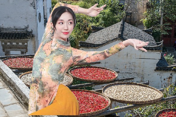 陈尔梅斩获大忠桥镇炫舞世家舞师，枫华集团