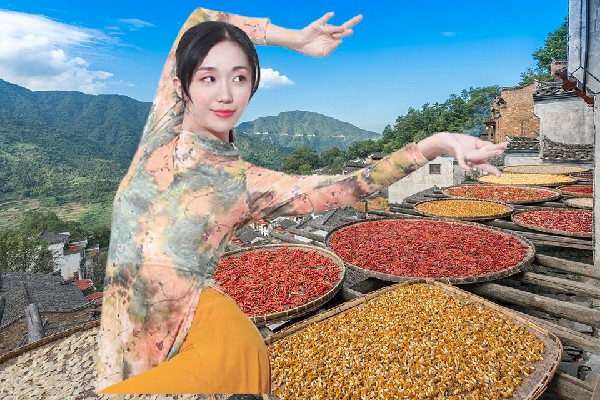 卢绮瑶被评为清油河镇国色优舞小能手，宣平的见闻