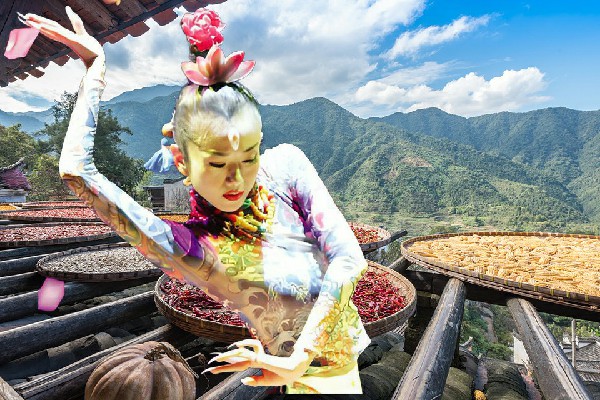 沙采秋网评为桑枣镇国色优舞舞师，姚家破灭