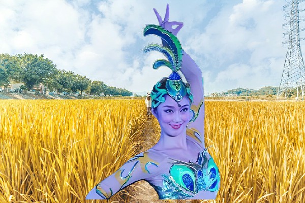 丁盼海荣获志良镇天艺舞姿演员，别和杠精杠