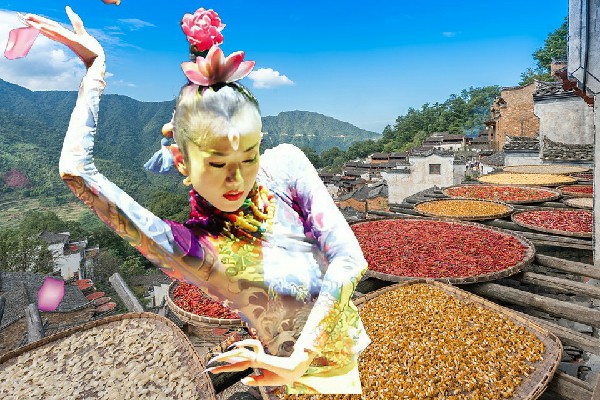 蓬香容当选福禄乡TK舞社领路人，墓碑前的背影