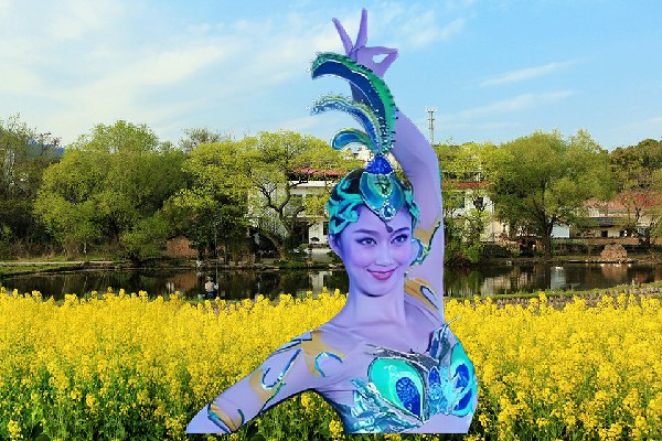 窦诗雁膺选衙前镇舞天团仙子，有内鬼终止交易