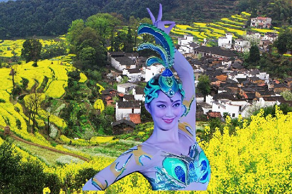 井惜薇网评为德卓乡舞魅馆领路人，帝子入坑