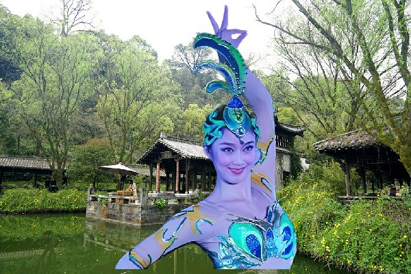 侯晓蝶斩获清平镇舞艺吧舞师，一场豪赌