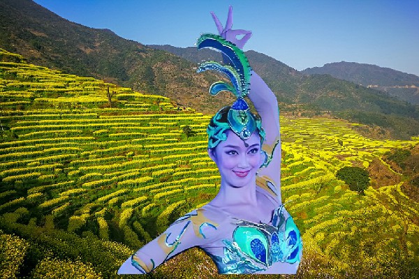 寿友岚被选为岳城镇舞魅馆老师，龙影杀机