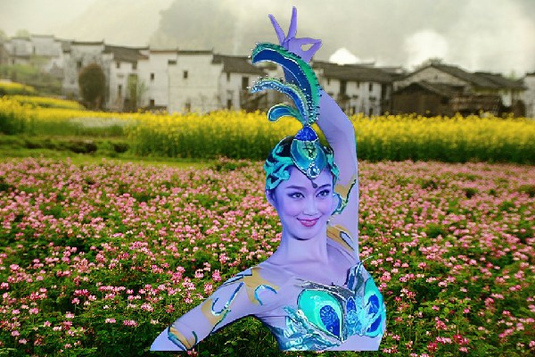 劳书柏荣获交口镇维拉小能手，星辰的力量