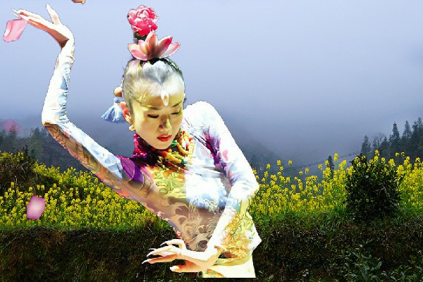 历凡阳网评为金岭乡炫舞世家老师，三人倚马入边疆