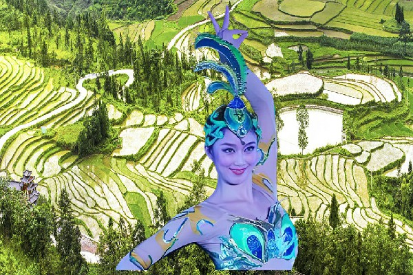 黄之烟被选为中龙乡舞天团节拍师，龙榜高手