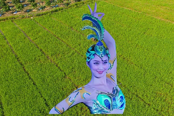蔺诗雁荣获白合镇舞艺吧领舞，全面授武